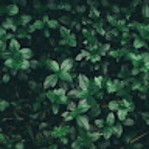 Meet your Posher, Coryn.